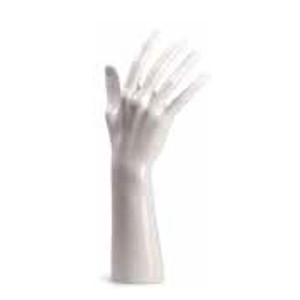Damenhand, glänzend weiß, Höhe: 29 cm